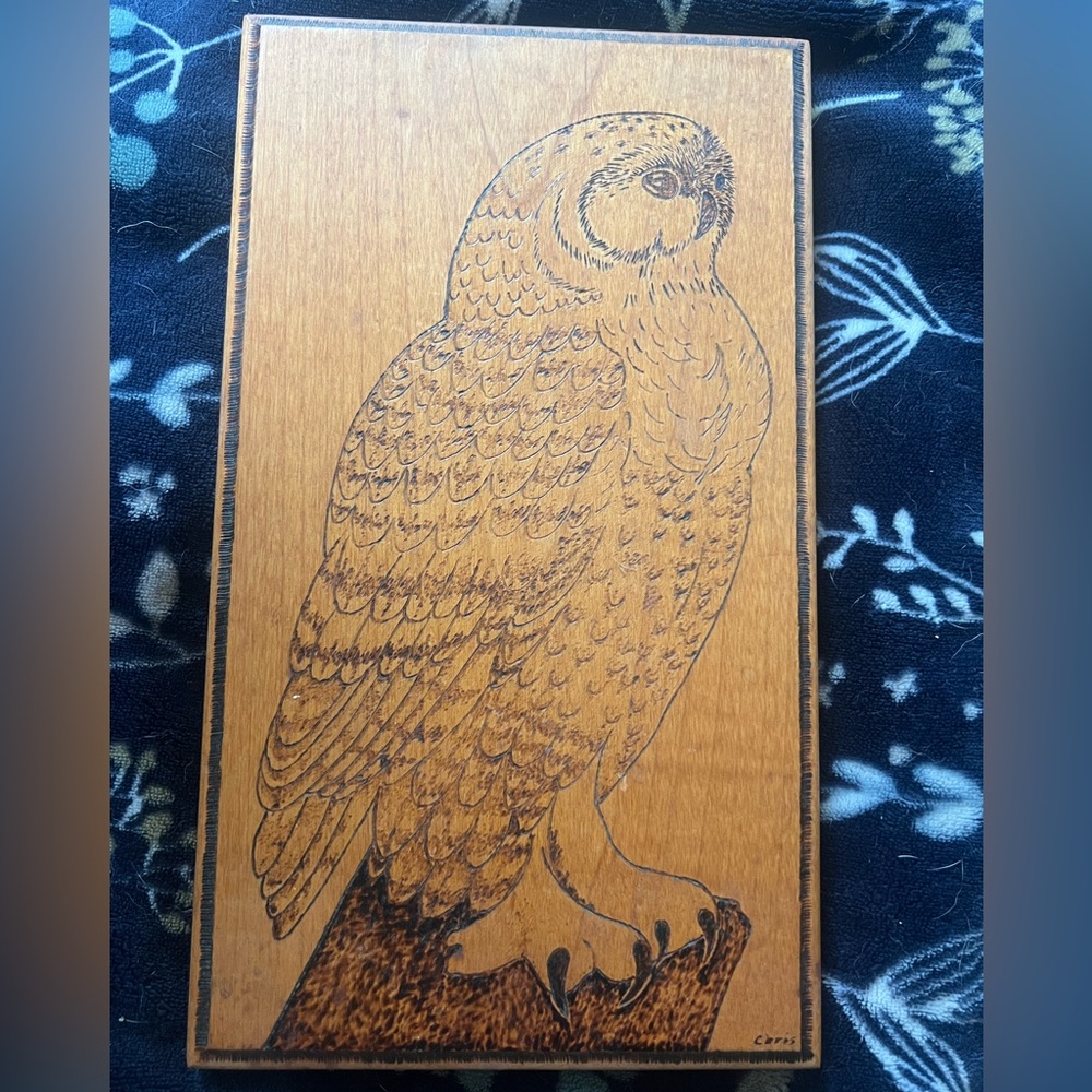 Carved Owl into wood Art